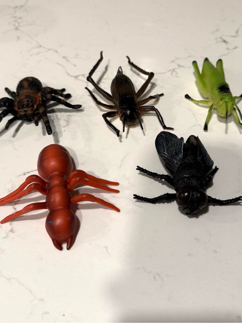 Toy Insects Set of 5